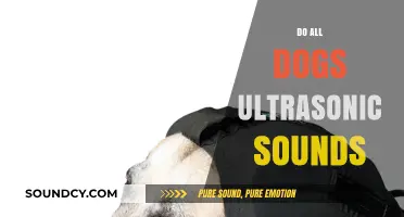 Can All Dogs Hear Ultrasonic Sounds? Exploring Canine Hearing Abilities