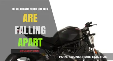 Ducati's Distinct Sound: Myth or Mechanical Reality?