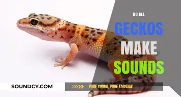 Do All Geckos Make Sounds? Exploring Their Vocal Abilities
