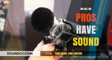 GoPro Sound: All Models Uncovered