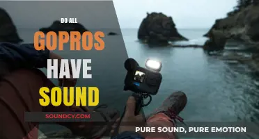 Do All GoPros Record Audio? Uncovering the Sound Features