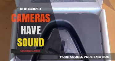 Guardzilla Camera Sound: What You Need to Know