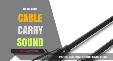 HDMI Cables: Audio and Visual Transmission