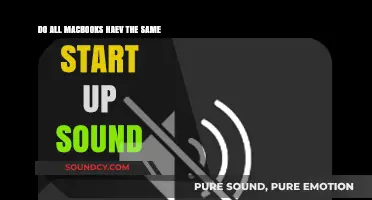 Do All MacBooks Share the Same Startup Sound?