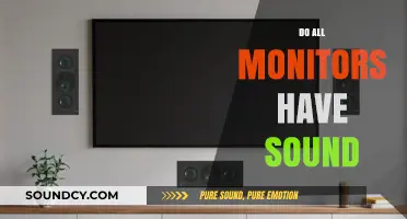 Do All Monitors Have Sound? Exploring Audio Capabilities in Displays