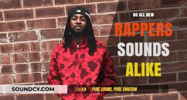 The Evolution of Rap: A Monotonous Sound?