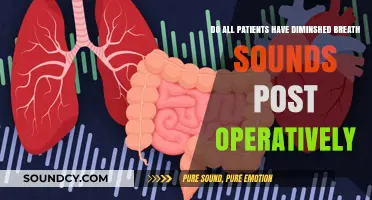 Post-Operative Breath Sounds: Are Diminished Lung Sounds Universal in Patients?