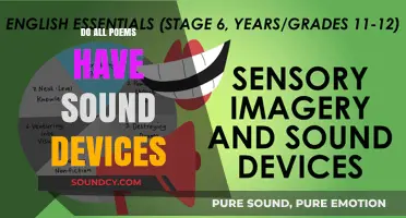 Poetry's Musical Devices: Are They Essential?