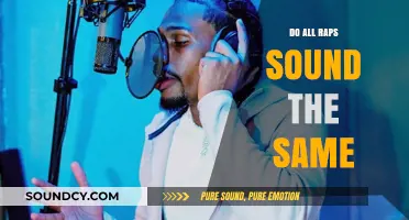 The Monotony of Rap Music: Do They All Sound Similar?