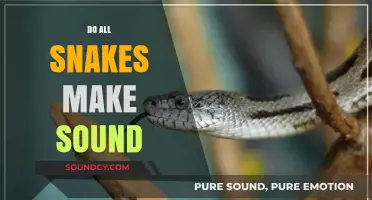 Do All Snakes Hiss? Unveiling the Truth About Snake Sounds