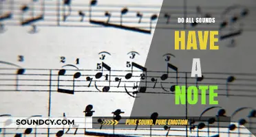 Sounds and Notes: Are They One and the Same?