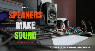 Do All Speakers Produce Sound? Unraveling the Science Behind Audio Output