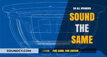 Speaker Sound Quality: Does Size Matter?