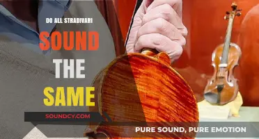 The Unique Sound of Stradivari Violins