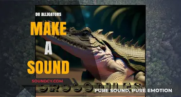 Unveiling the Mystery: Do Alligators Make a Sound?
