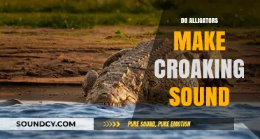 Do Alligators Croak? Unveiling Their Unique Vocalizations and Sounds