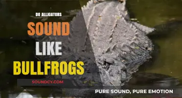 Alligator vs. Bullfrog: Unraveling the Mystery of Their Similar Sounds