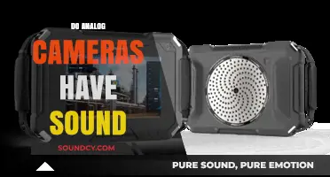 Do Analog Cameras Capture Sound? Exploring Their Audio Capabilities