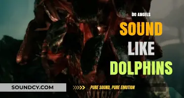 Do Angels Sound Like Dolphins? Exploring Celestial and Oceanic Echoes