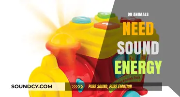 Do Animals Rely on Sound Energy for Survival and Communication?