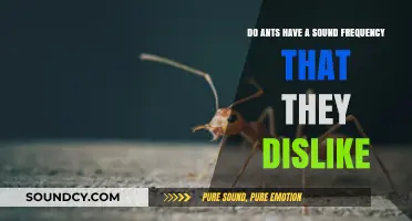 Can Ants Be Repelled by Specific Sound Frequencies? Exploring the Science