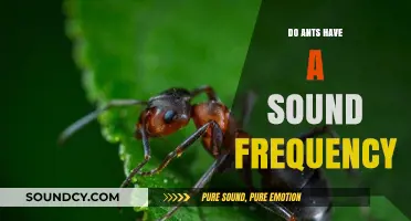 Ants' Secret Language: Unheard Sounds