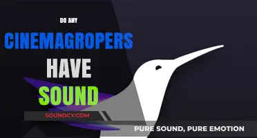 Do Cinemagraphs Include Sound? Exploring the Silent Motion Trend