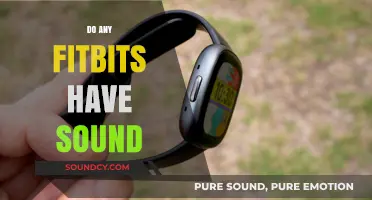 Do Fitbits Have Sound? Exploring Audio Features in Fitbit Devices