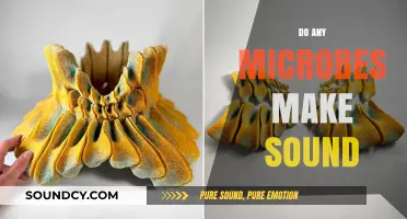 Microbial Symphonies: Unveiling the Silent Sounds of Tiny Life Forms