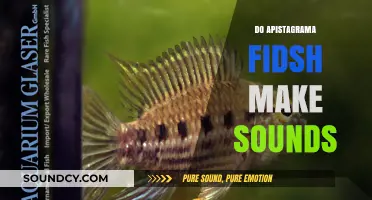 Do Apistogramma Fish Make Sounds? Exploring Their Unique Communication