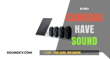Do Arlo Cameras Have Sound? Exploring Audio Features and Capabilities