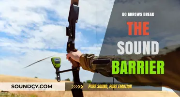Arrows and the Sound Barrier: What's the Truth?