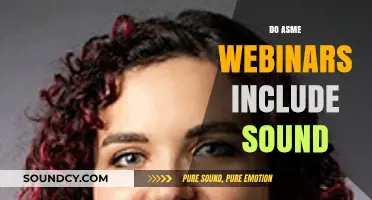 Do ASME Webinars Include Sound? Exploring Audio Features in Sessions