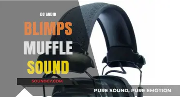 Do Audio Blimps Effectively Muffle Sound? A Comprehensive Analysis