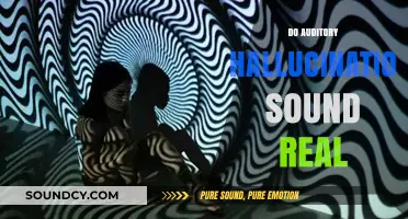 Do Auditory Hallucinations Sound Real? Unraveling the Mind's Auditory Deception