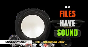 Do AVI Files Have Sound? Understanding Audio in AVI Format