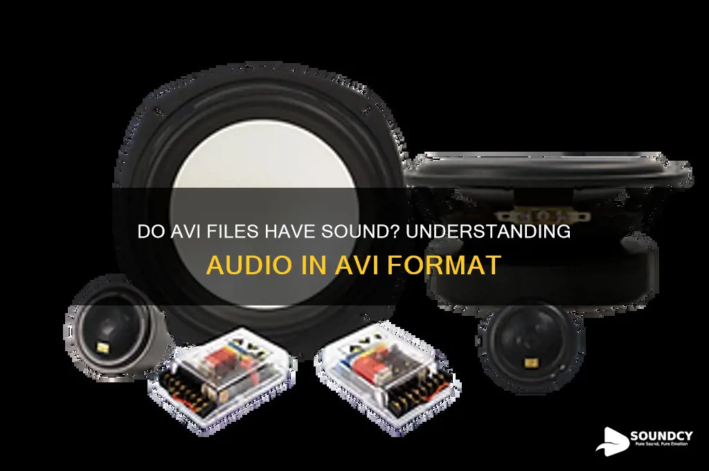 do avi files have sound