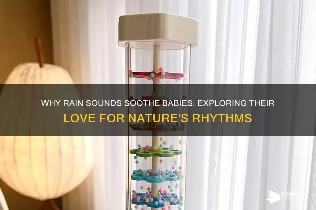 do babies like rain sounds