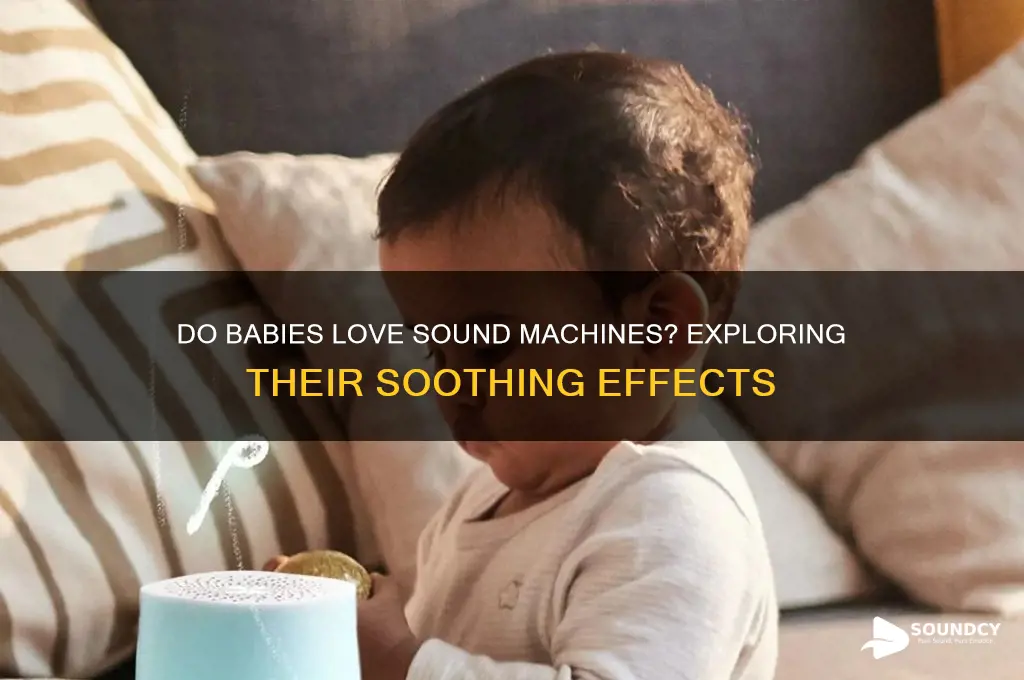do babies like sound machines