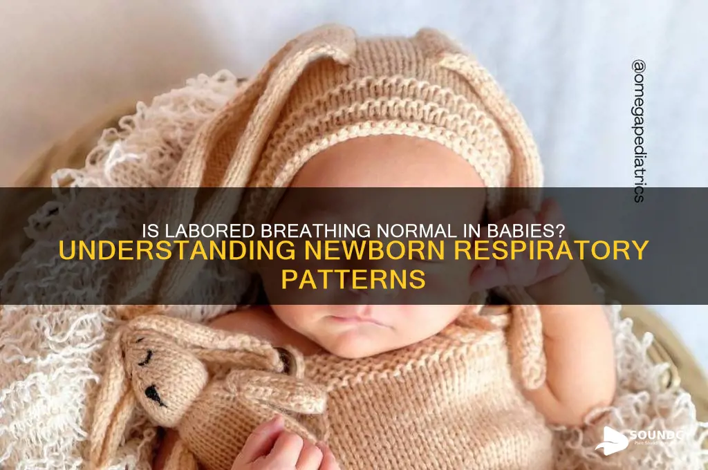 do babies normally sound like they have labored breathing