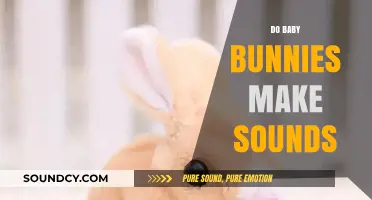 Do Baby Bunnies Make Sounds? Exploring Their Communication Methods