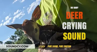 Understanding the Heartbreaking Cry of Baby Deer: Facts and Insights