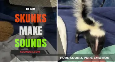 Do Baby Skunks Make Sounds? Exploring Their Vocalizations and Behaviors