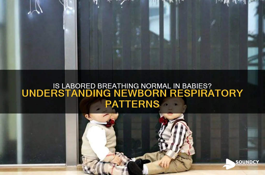 do babys normally sound like they have labored breating