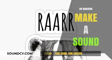 Do Badgers Make Sounds? Exploring Their Unique Vocalizations and Communication