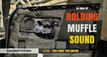 Bags of Holding: Soundproof Storage or Noisy Nightmare?
