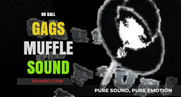 Do Ball Gags Effectively Muffle Sound? Exploring Their Noise-Reducing Abilities