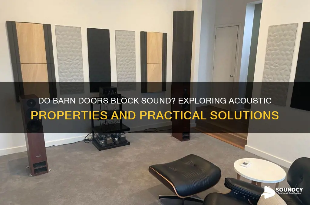 do barn doors block sound