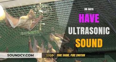 Unveiling the Mystery: Do Bats Truly Emit Ultrasonic Sounds?