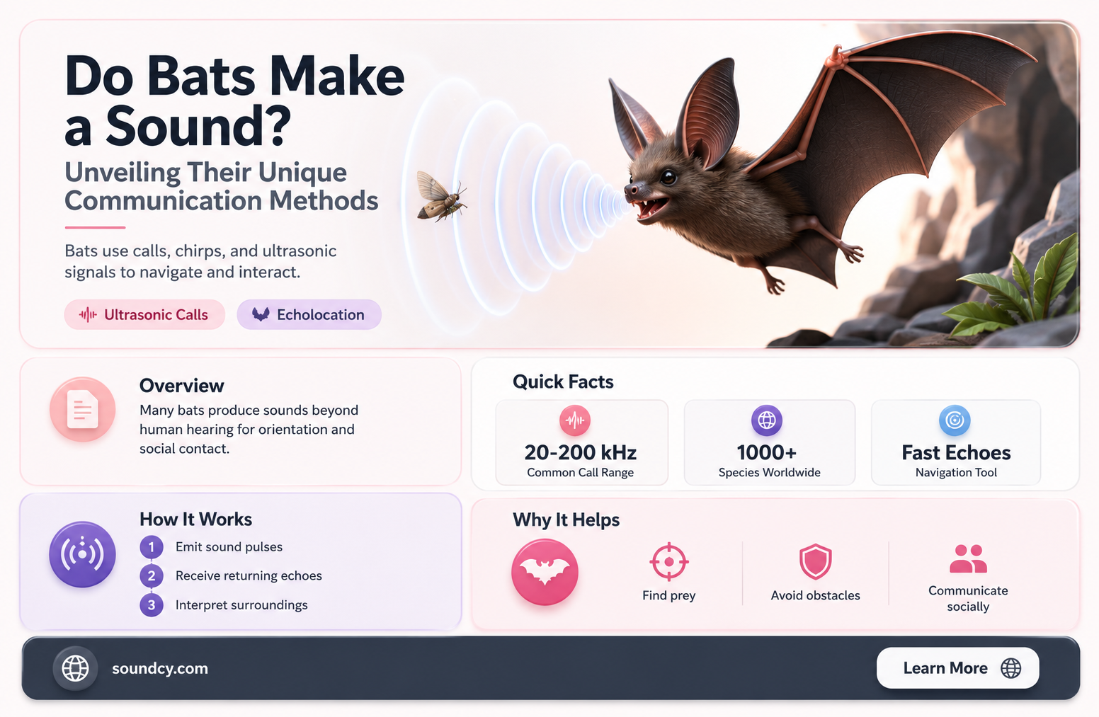 do bats make a sound
